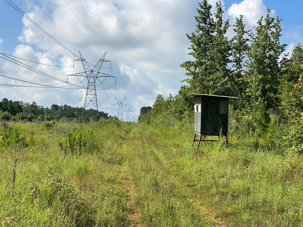 TBD County Road 394, Tatum, TX 75691