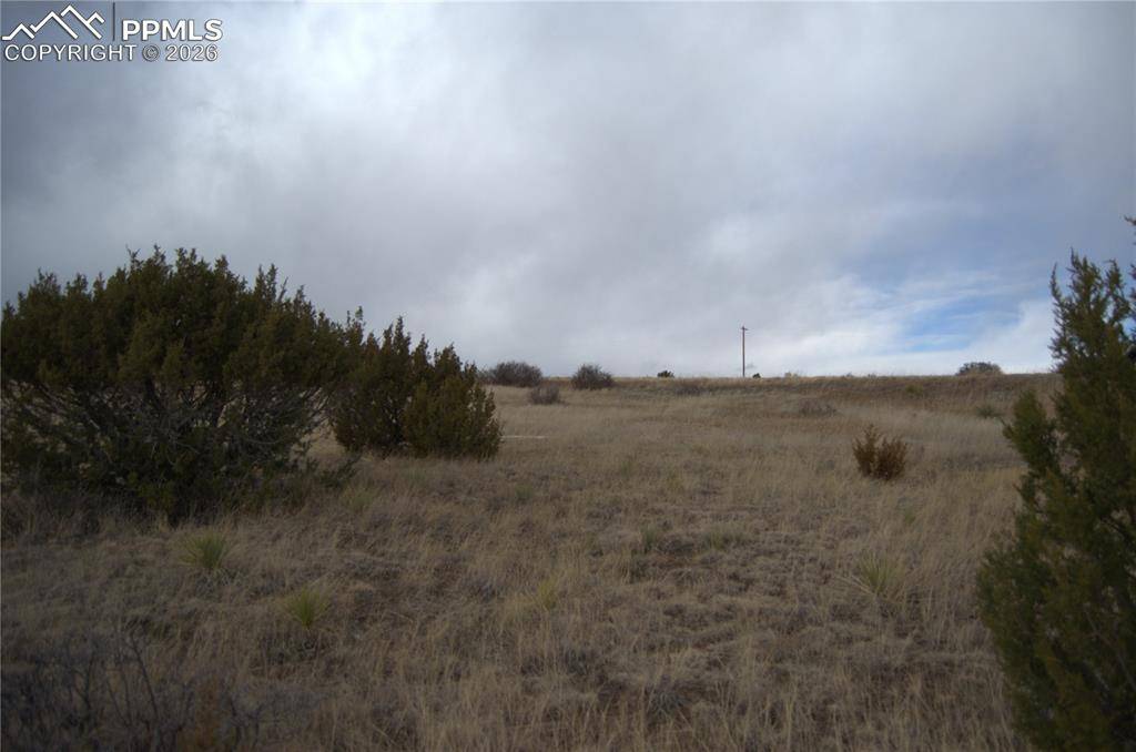 Rosemoore DR, Colorado City, CO 81069