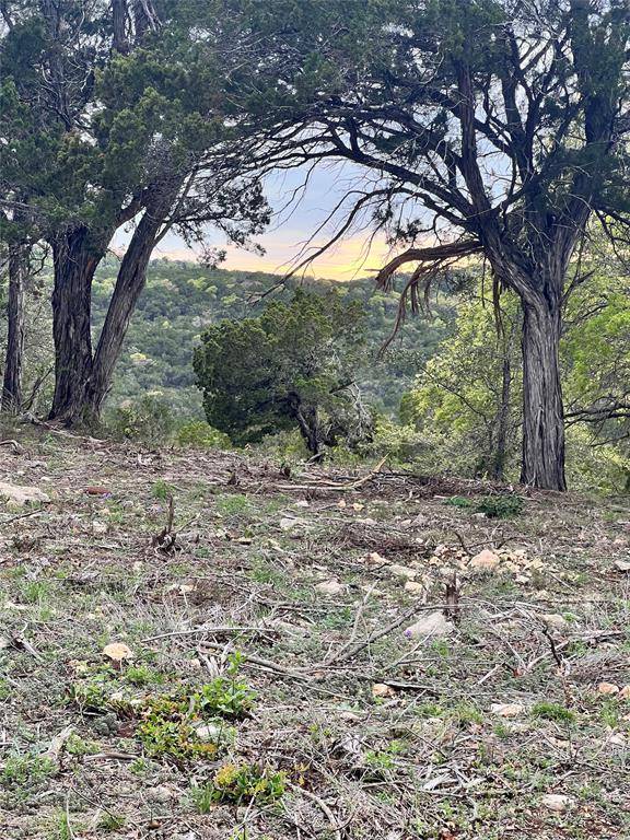 TBD Tyler Trail, Leander, TX 78645