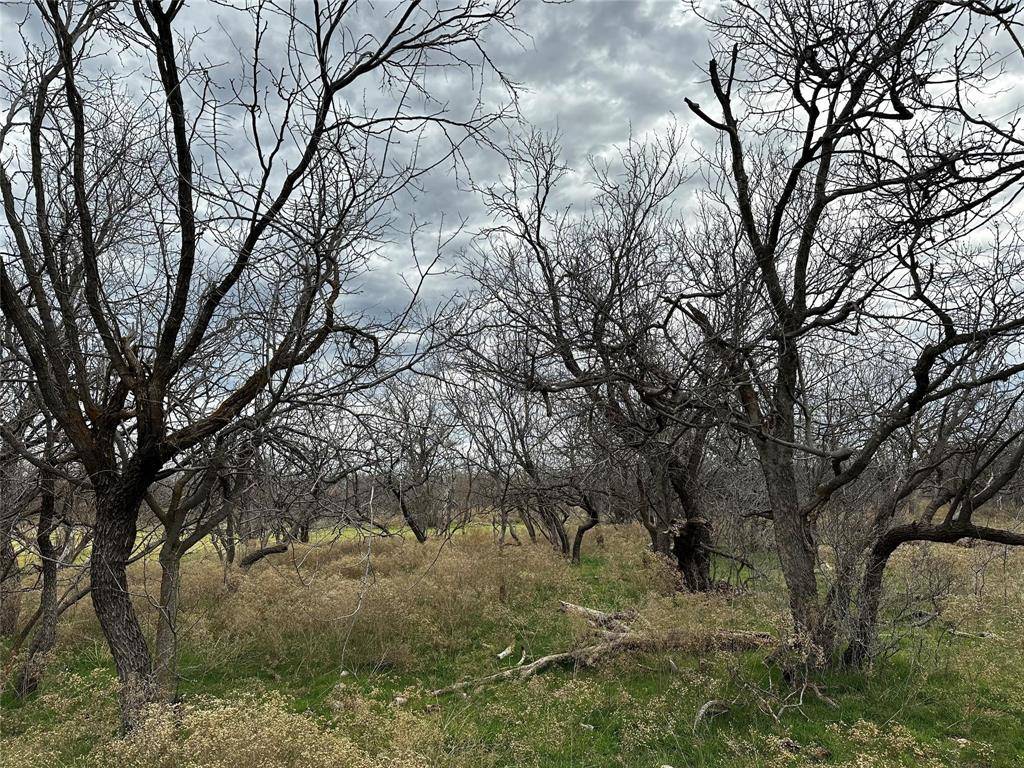 Tract 14 AC CR 105, Abilene, TX 79601