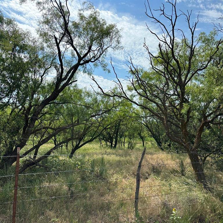 Tract 13 AC CR 105, Abilene, TX 79601