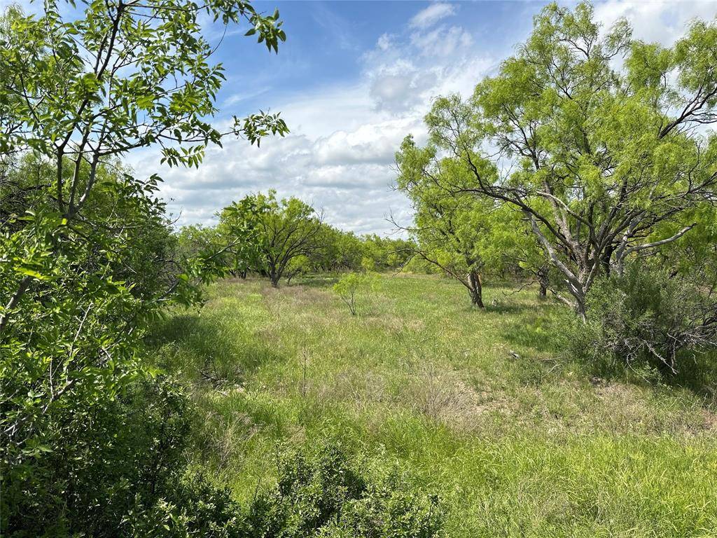 Tract 13 AC CR 105, Abilene, TX 79601