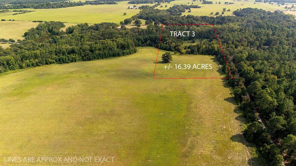 Lot 3 Tx-31, Brownsboro, TX 75756