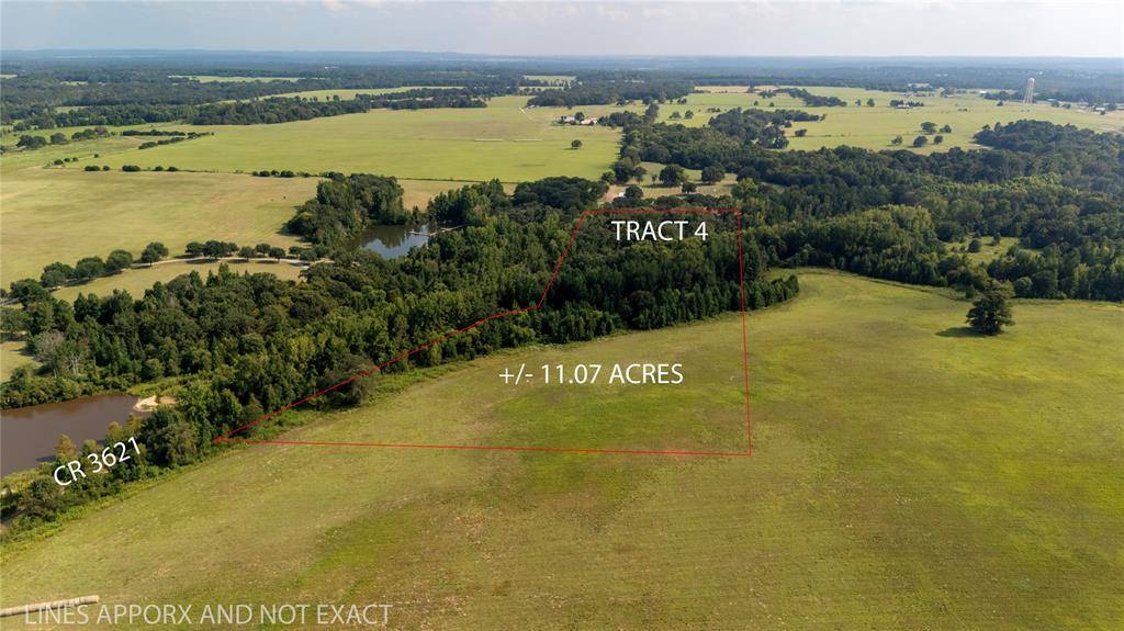 Lot 4 Tx-31, Brownsboro, TX 75756