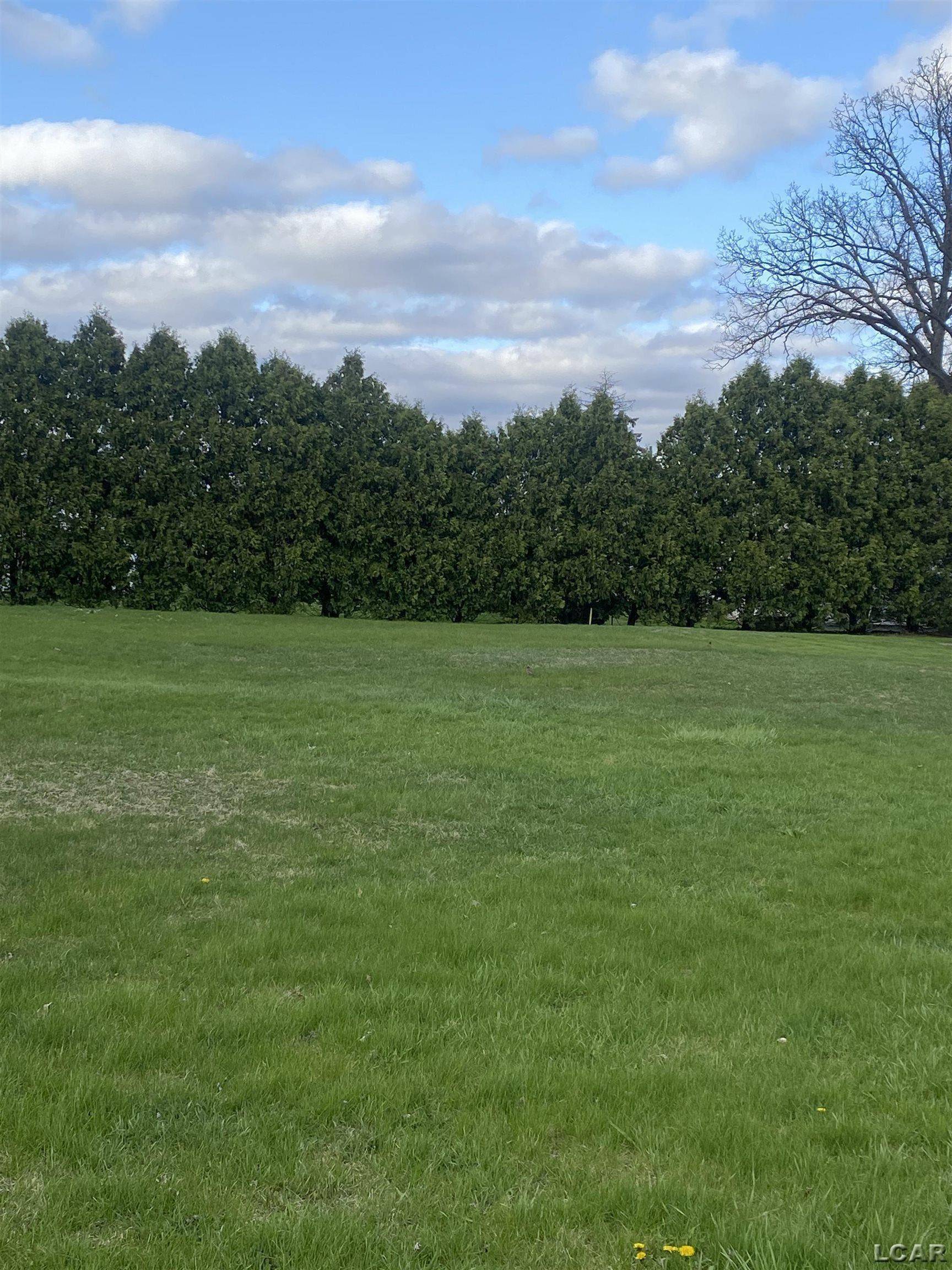 200 BLK Railroad ST, Blissfield, MI 49228