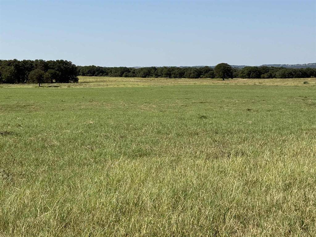 TBD Highway 36 50 ac+/-, Comanche, TX 76442
