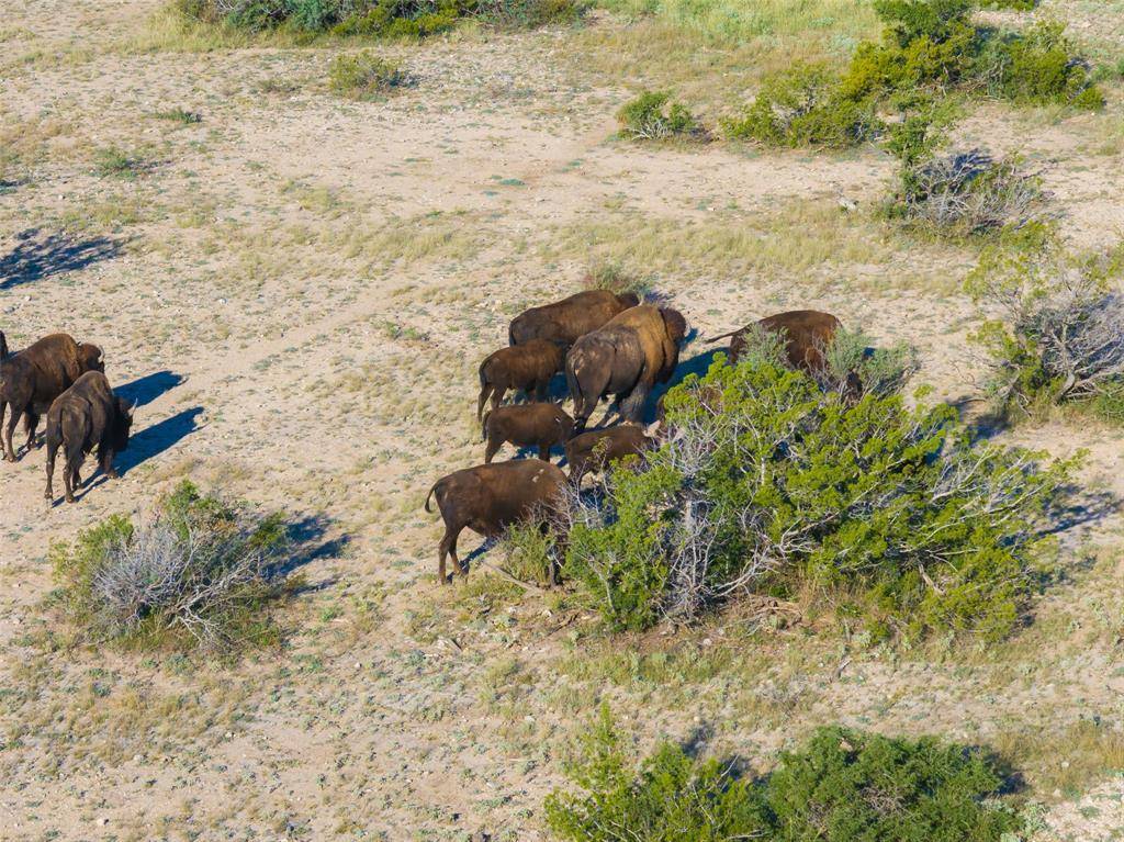 000 FM 2400 and 349, Sanderson, TX 79781