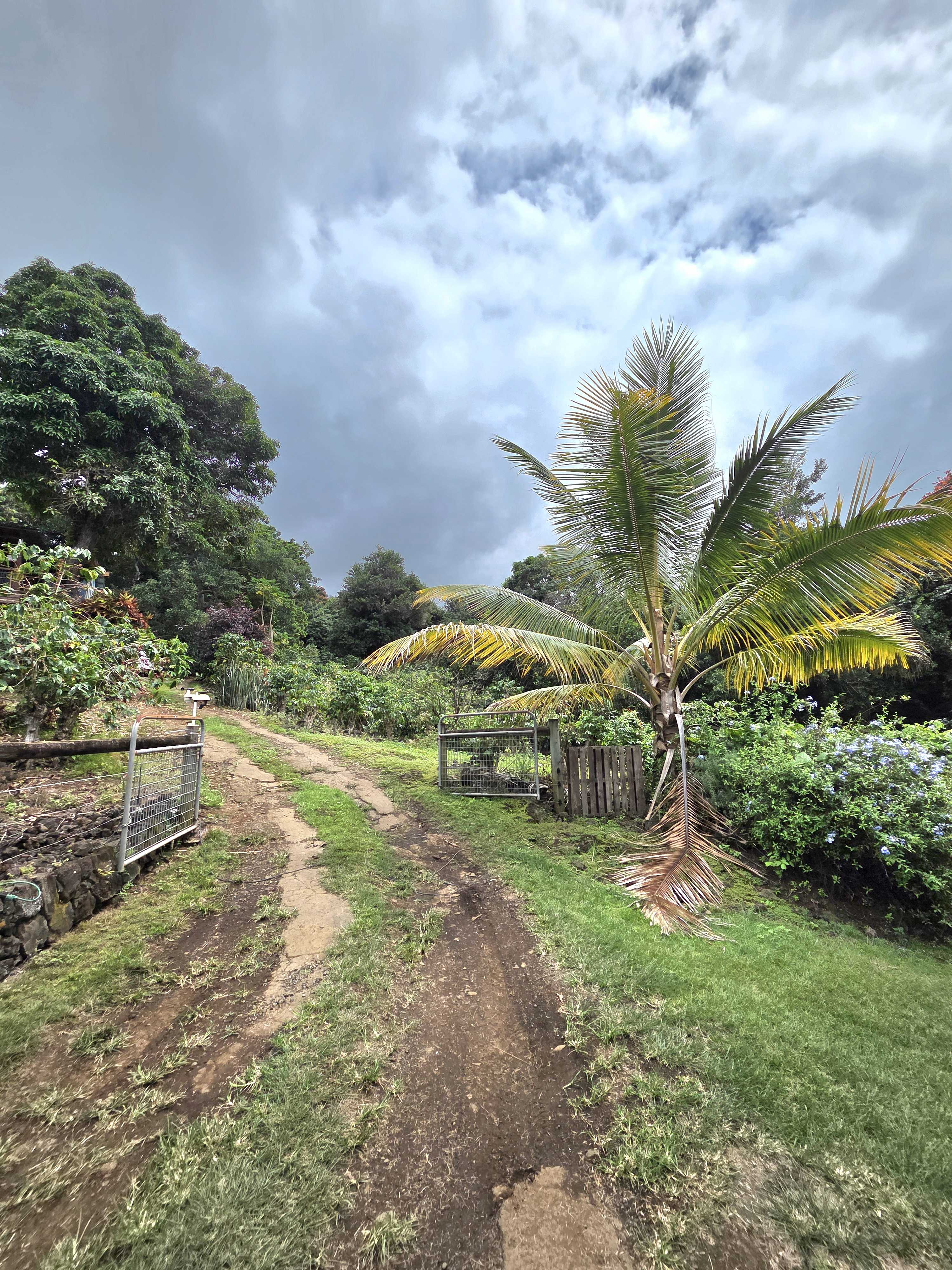 83-5782 NAPOOPOO RD, Captain Cook, HI 96704