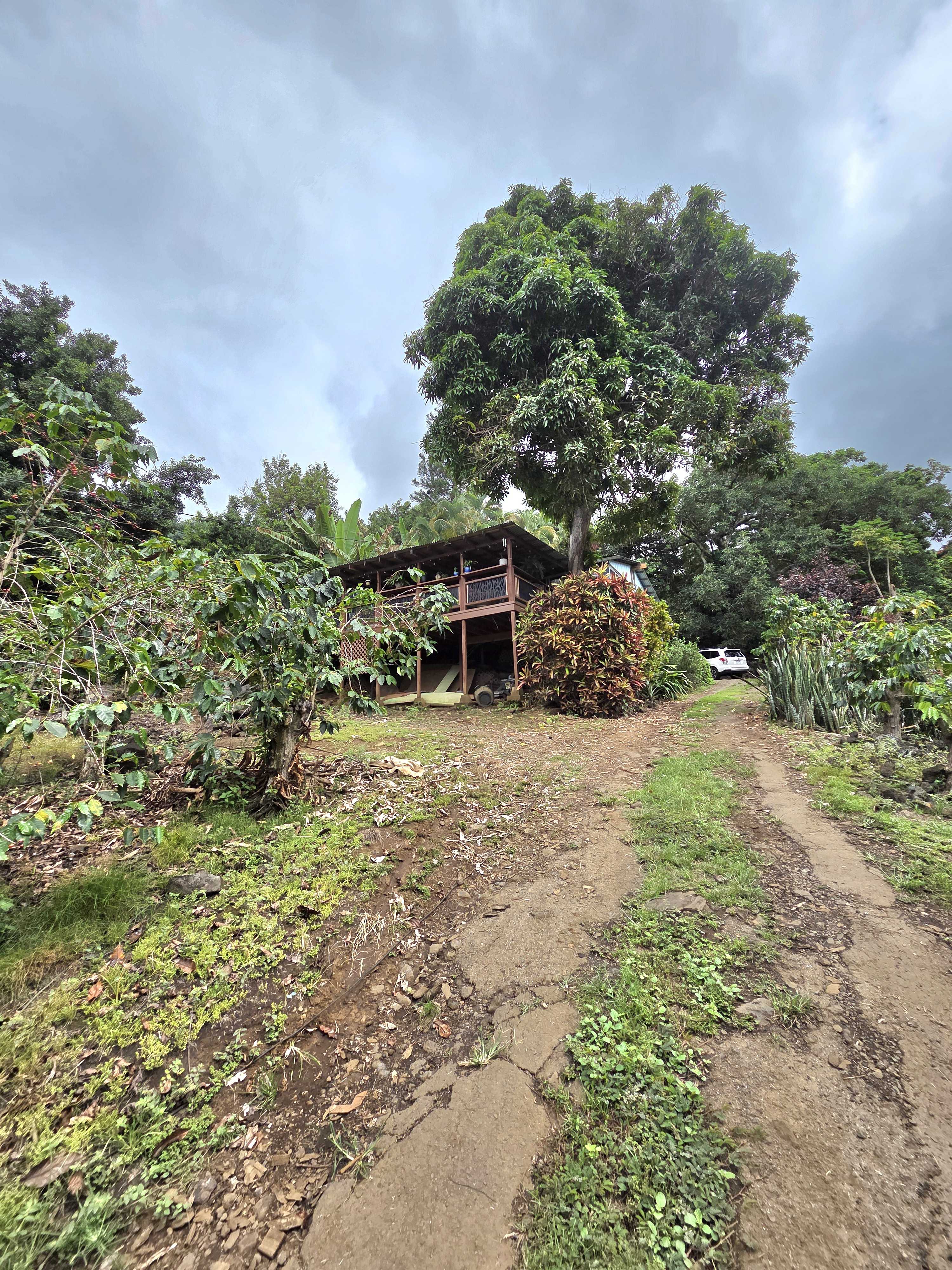 83-5782 NAPOOPOO RD, Captain Cook, HI 96704