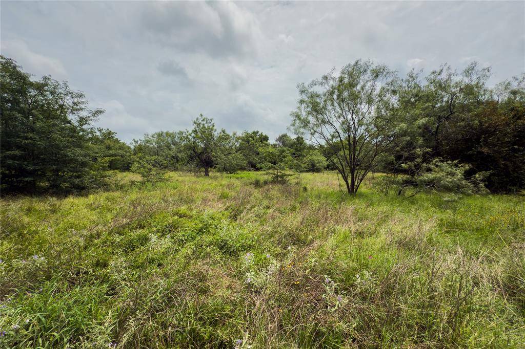Lot 4 County Road 173, Marlin, TX 76661