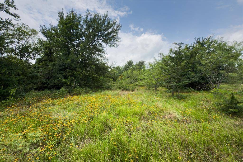 Lot 8 County Road 173, Marlin, TX 76661