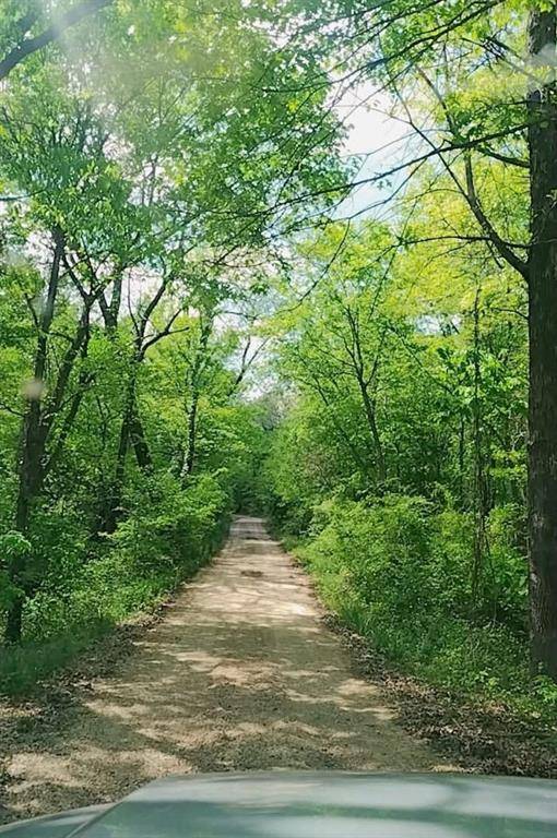 520 County Road 36980, Arthur City, TX 75411