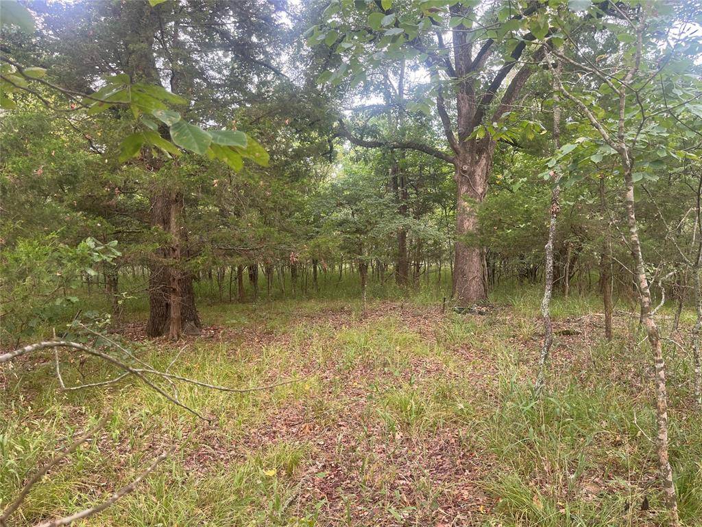 CR 2353 CR 2353, Bagwell, TX 75412