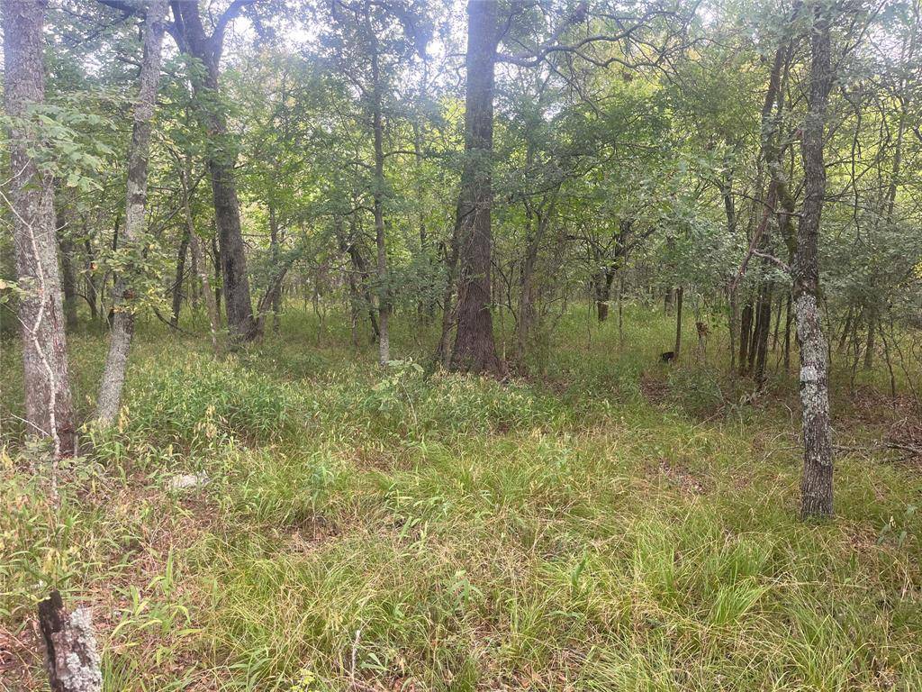 CR 2353 CR 2353, Bagwell, TX 75412