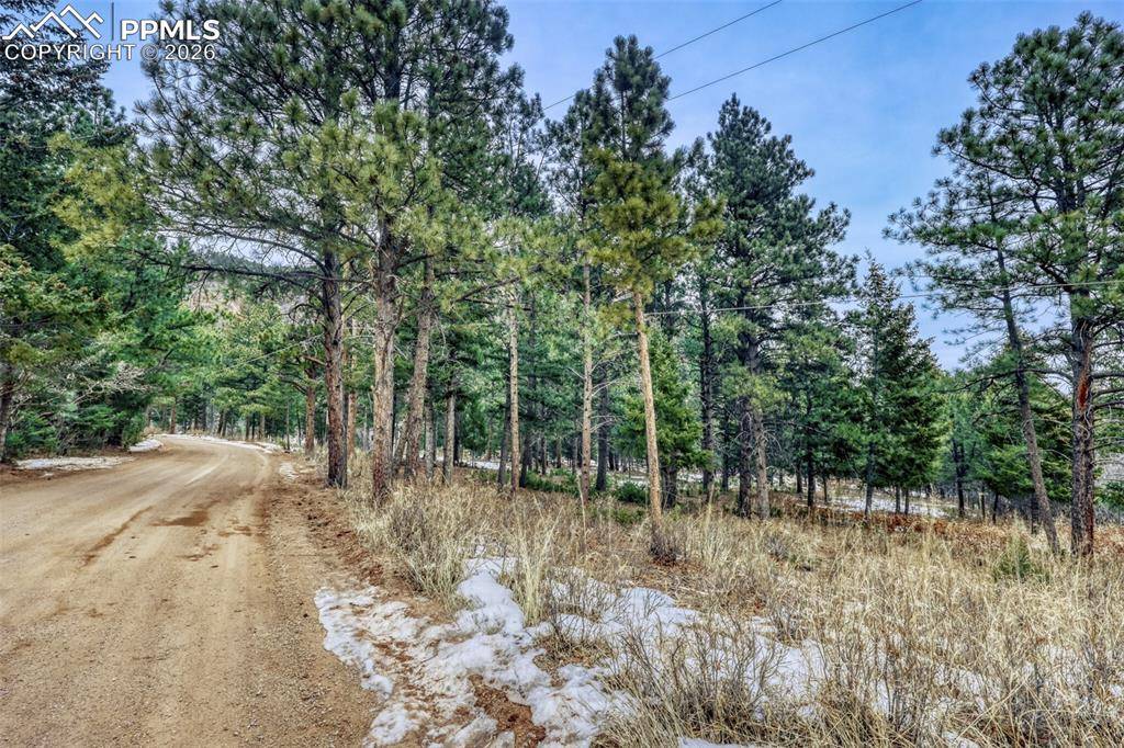 Rock Ridge RD, Palmer Lake, CO 80133