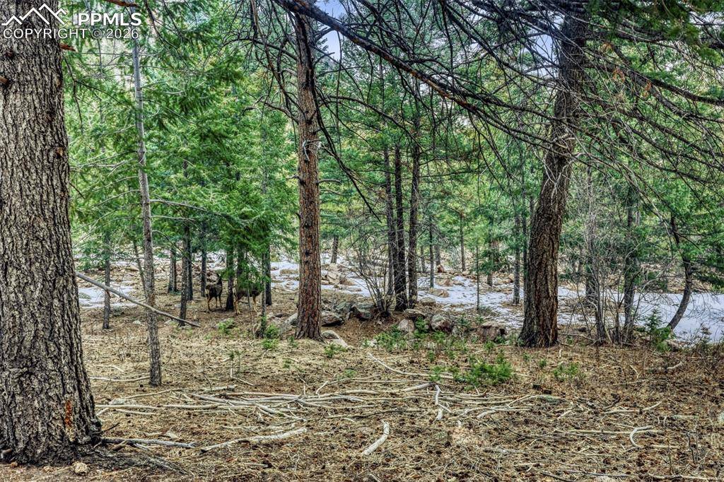 Rock Ridge RD, Palmer Lake, CO 80133