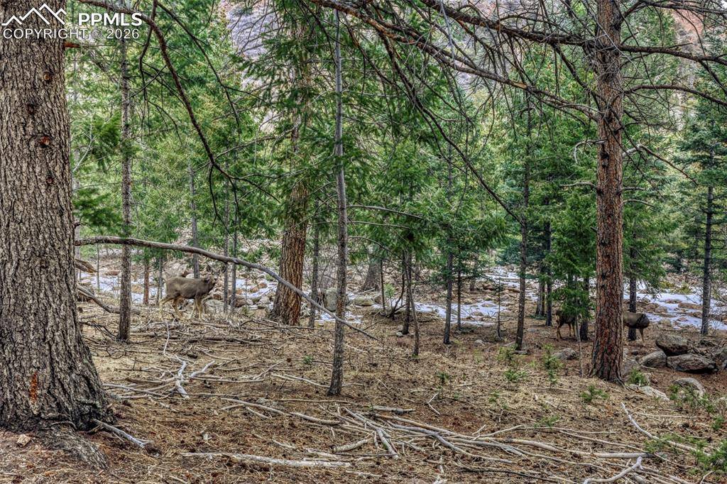 Rock Ridge RD, Palmer Lake, CO 80133