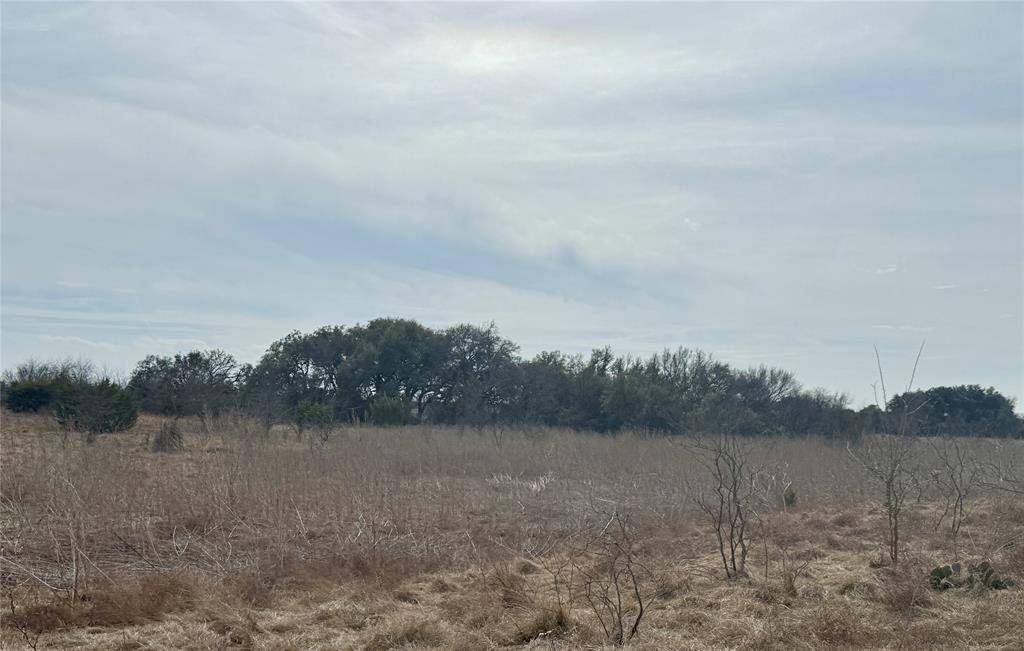 531 FM 1744, Carlton, TX 76436