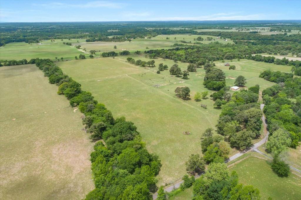 TBD VZ County Road 4412, Ben Wheeler, TX 75754