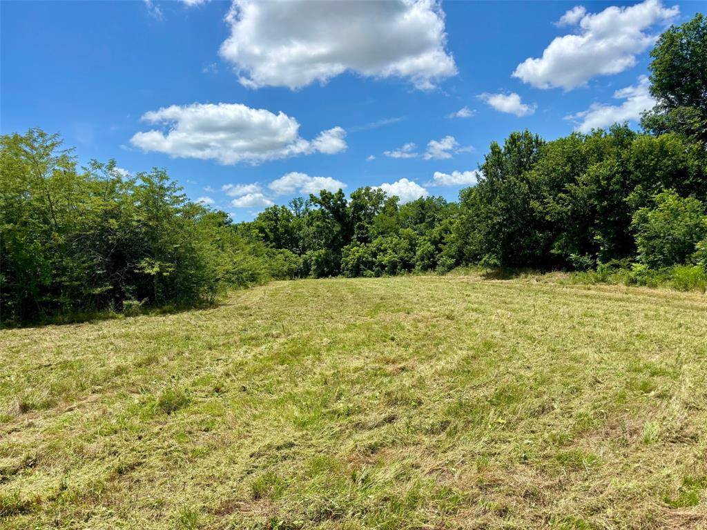 2967 Cr-4410, Commerce, TX 75428