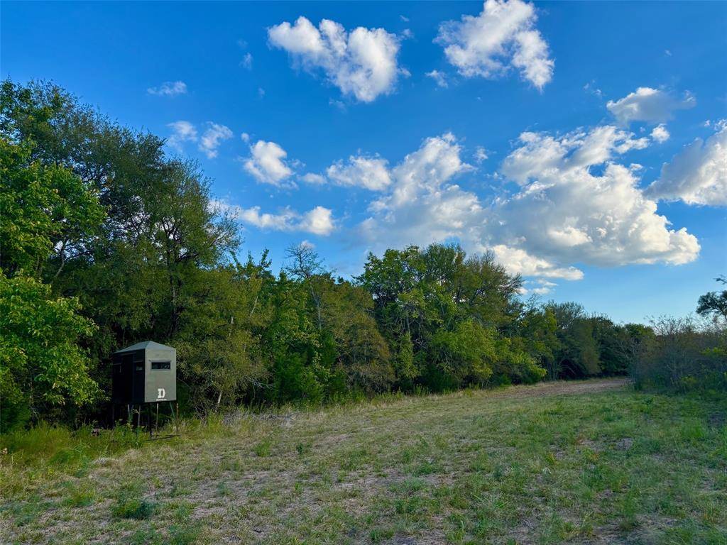 2967 Cr-4410, Commerce, TX 75428