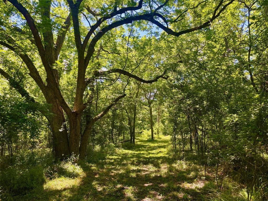 2967 Cr-4410, Commerce, TX 75428