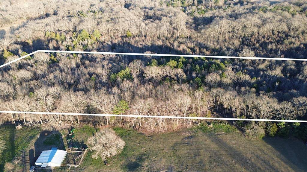 1628 CR 3375, Cookville, TX 75558