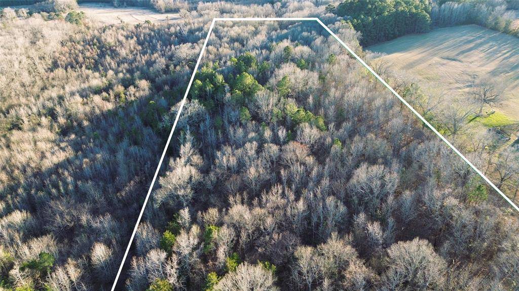 1628 CR 3375, Cookville, TX 75558