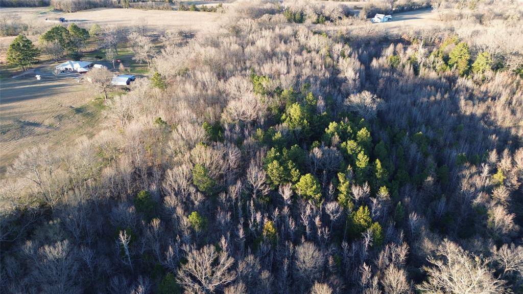 1628 CR 3375, Cookville, TX 75558