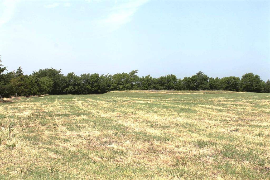 9788 Farm Road 128, Ben Franklin, TX 75415