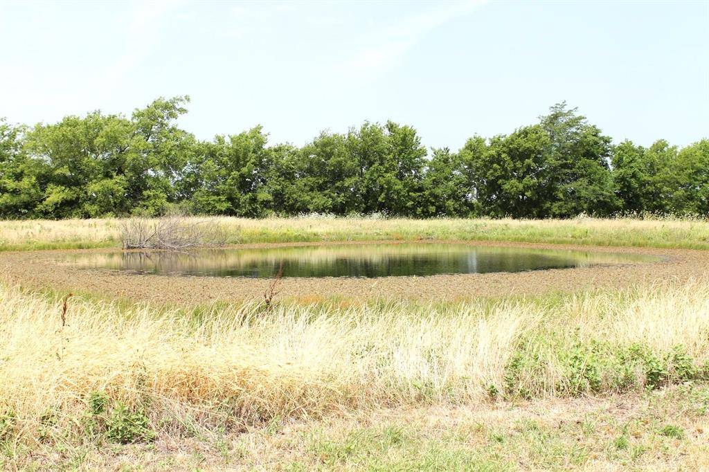 9788 Farm Road 128, Ben Franklin, TX 75415