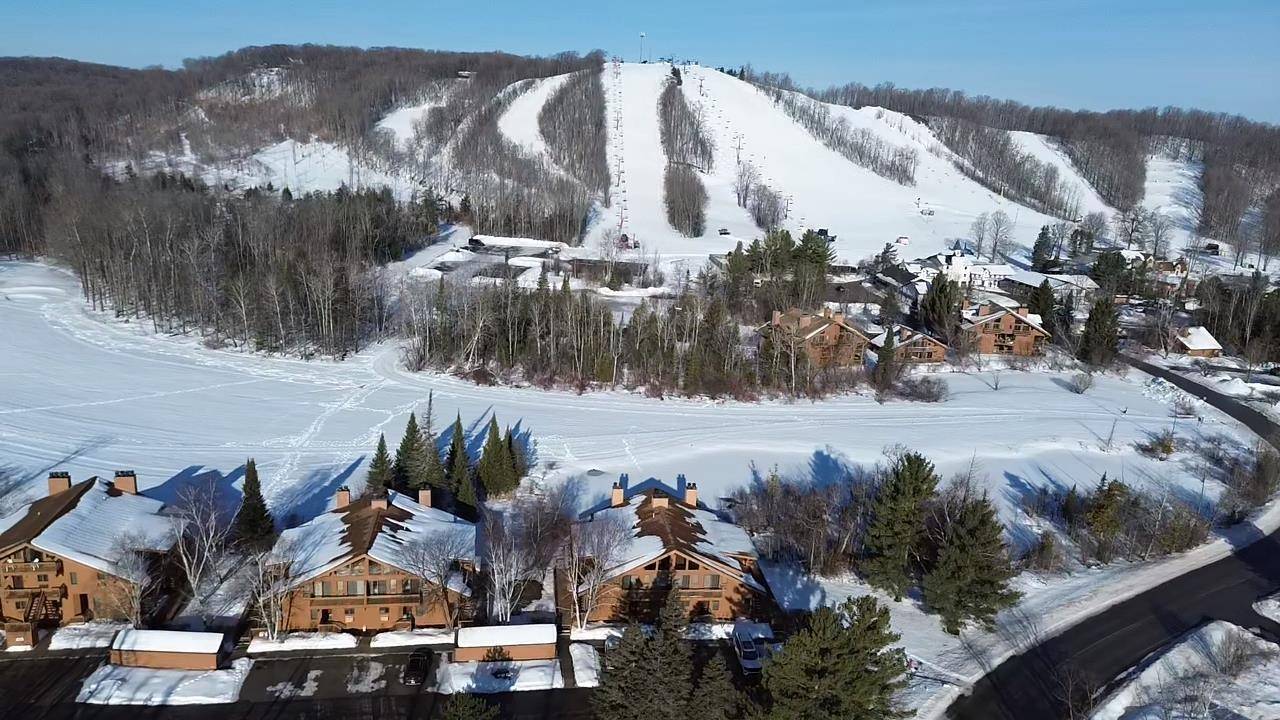 6658 Schuss Mountain LN, Custer Twp, MI 49659