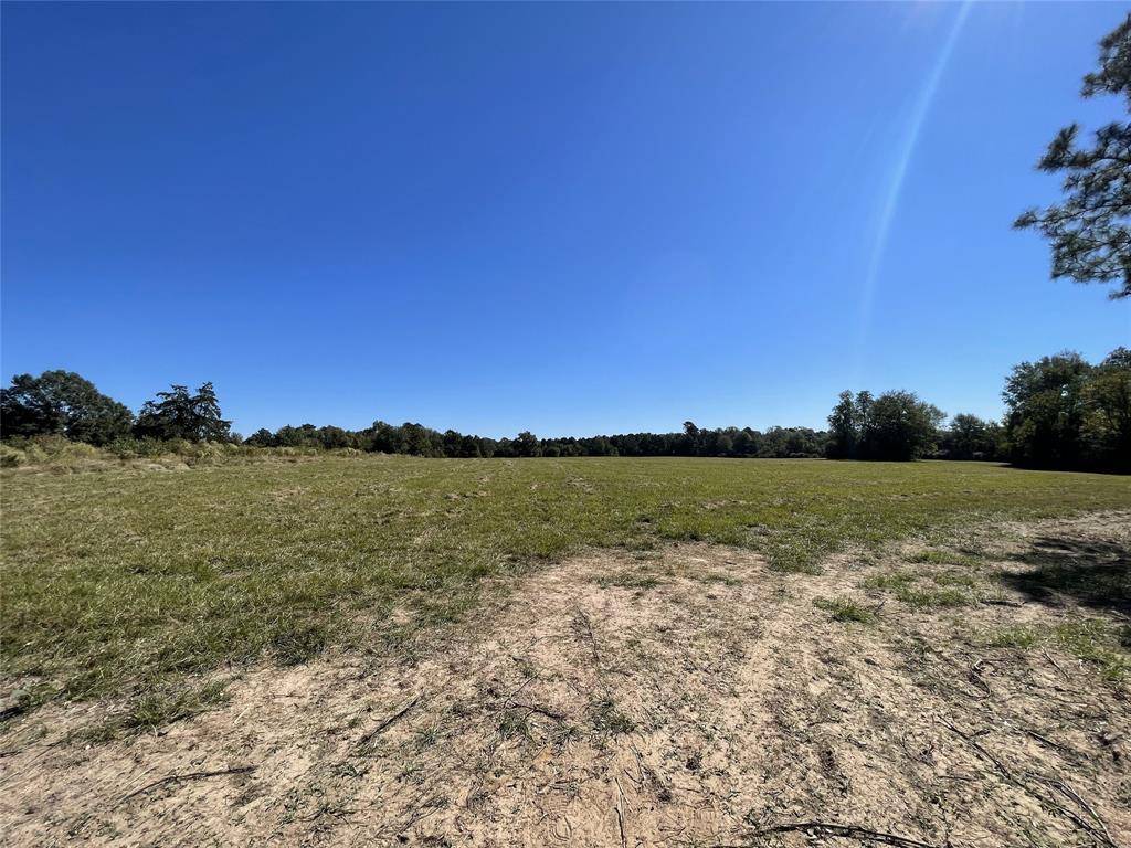 TBD-C County Road 4653, Tenaha, TX 75974