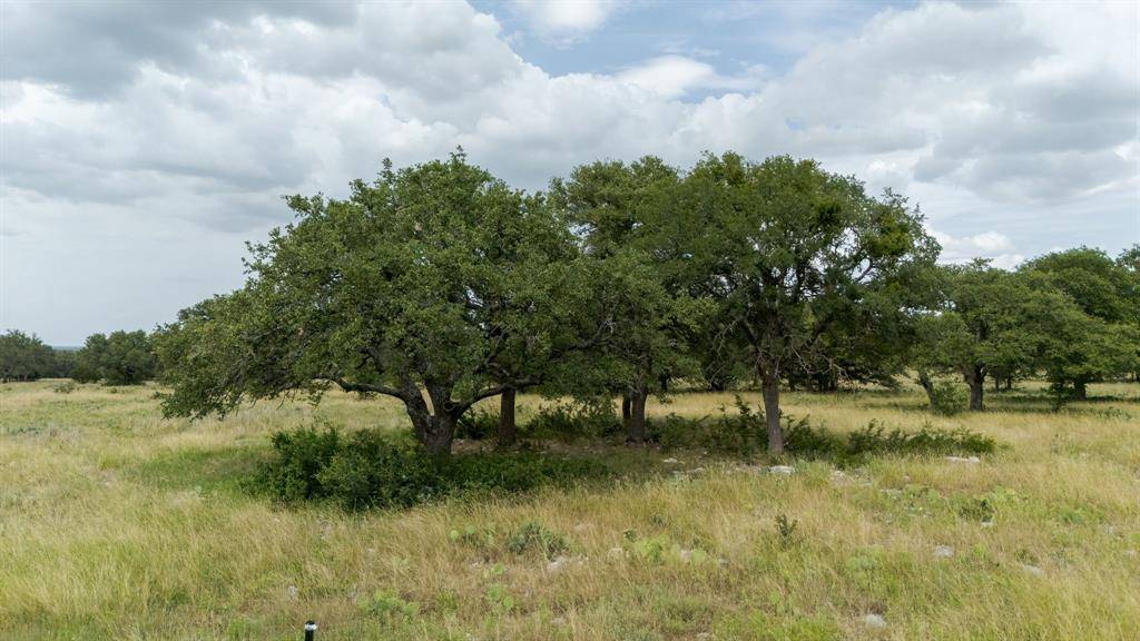 Lot 110 Kudu Court, Lampasas, TX 76550