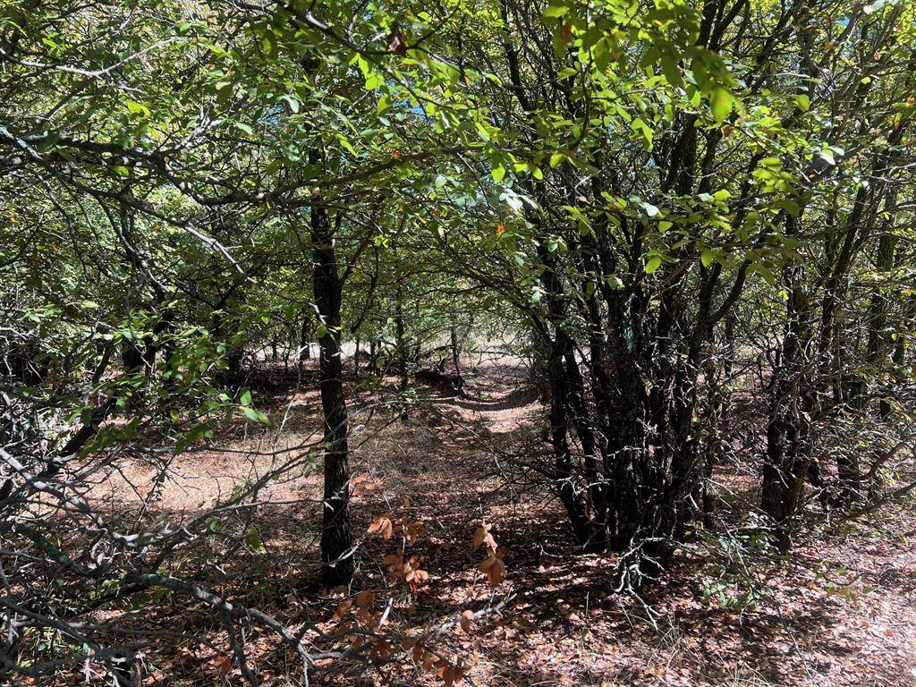 TBD Uselton Road, Loving, TX 76460
