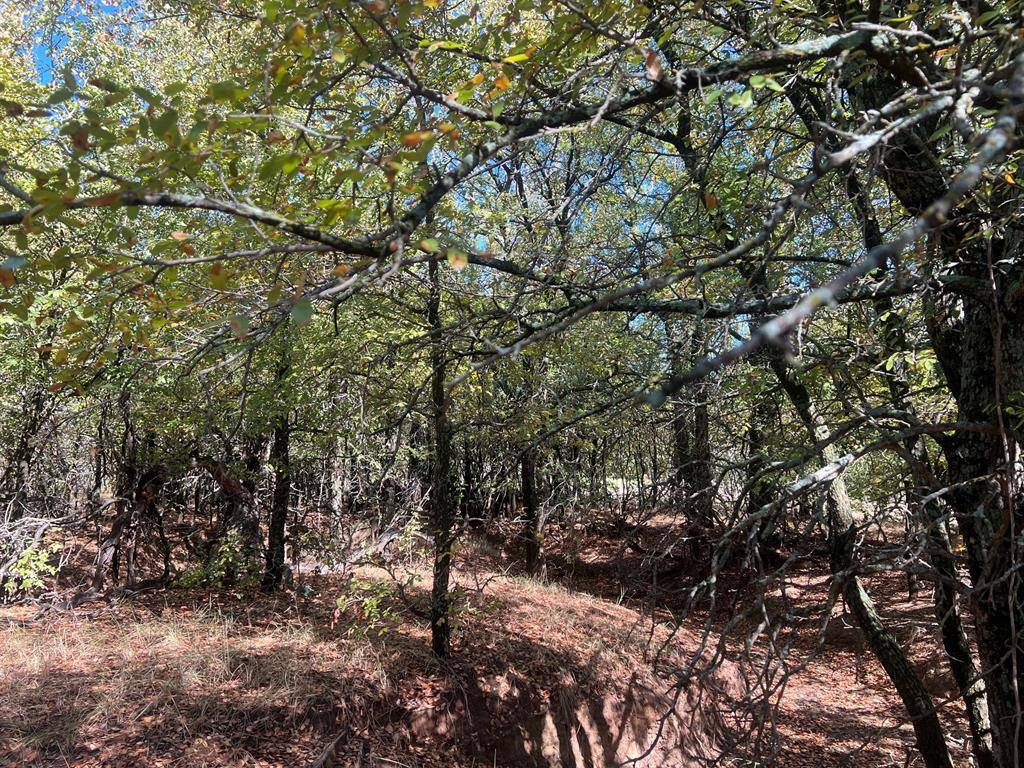 TBD Uselton Road, Loving, TX 76460
