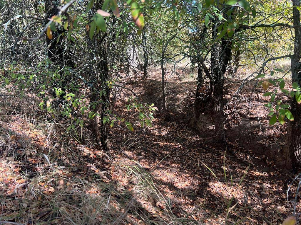 TBD Uselton Road, Loving, TX 76460