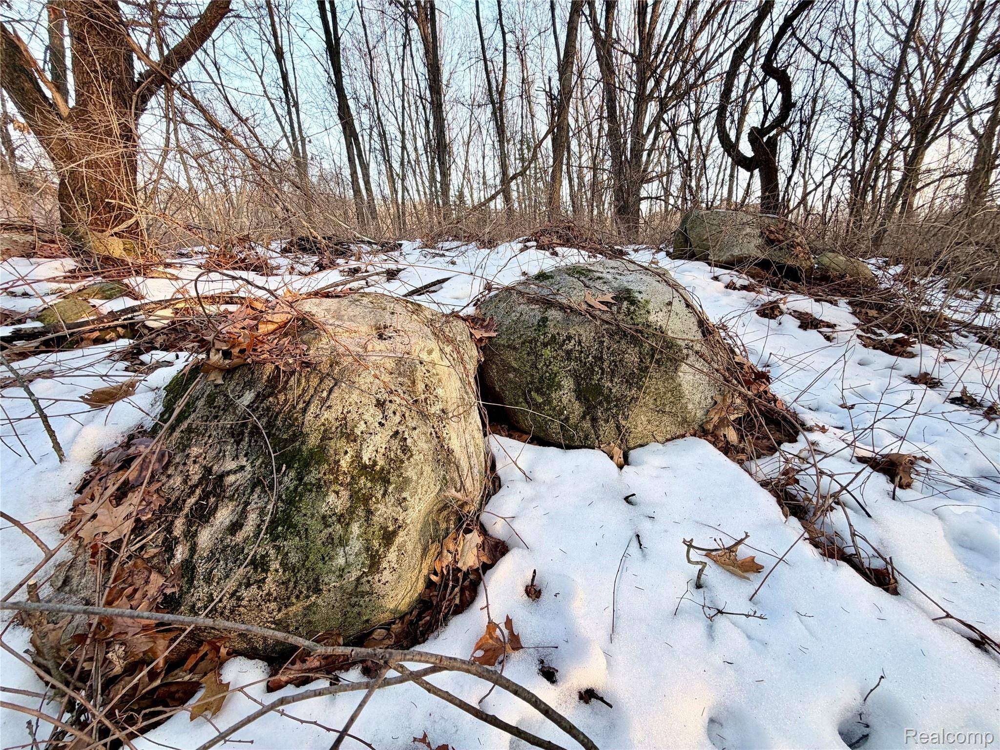 0 Pine Knob RD, Independence Charter Township, MI 48348