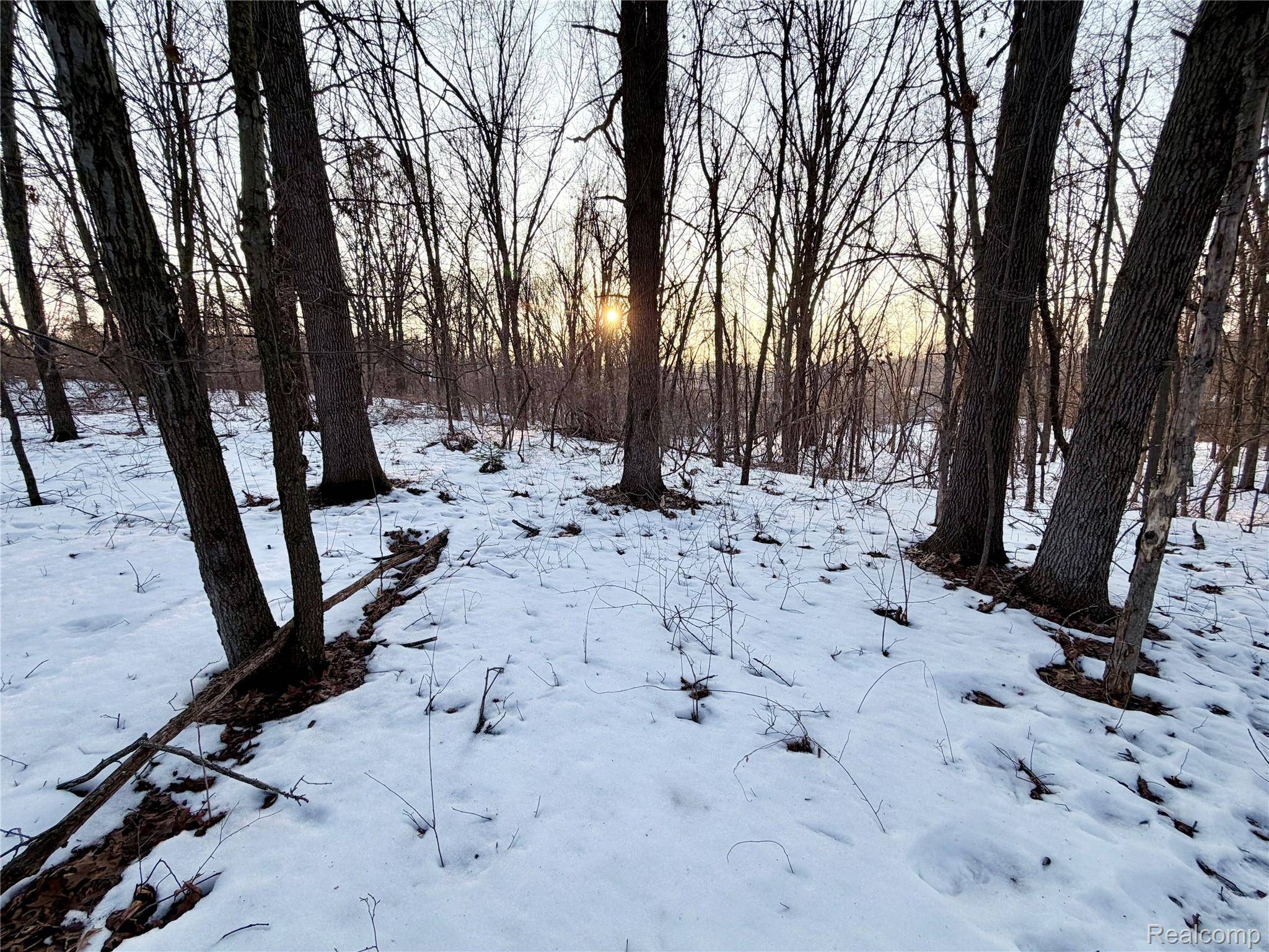 0 Pine Knob RD, Independence Charter Township, MI 48348