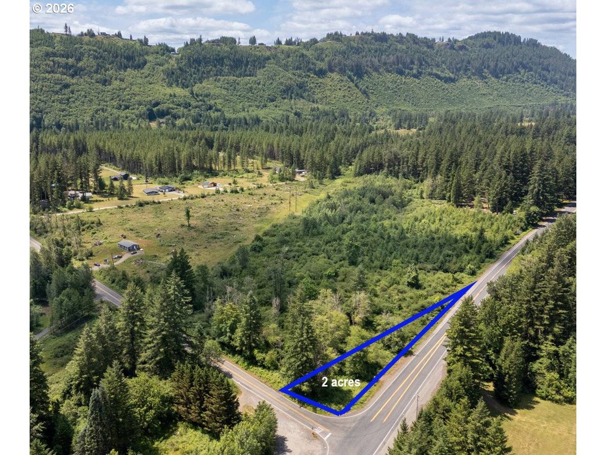 0 Lewis River RD, Ariel, WA 98603