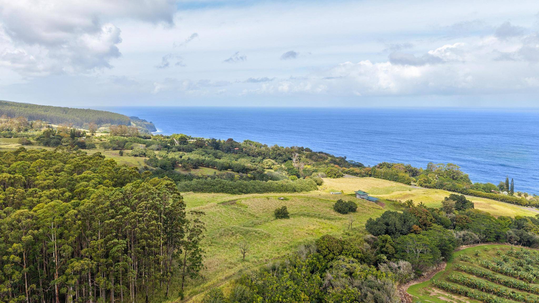 34-1219 HAWAII BELT RD, Papaaloa, HI 96780