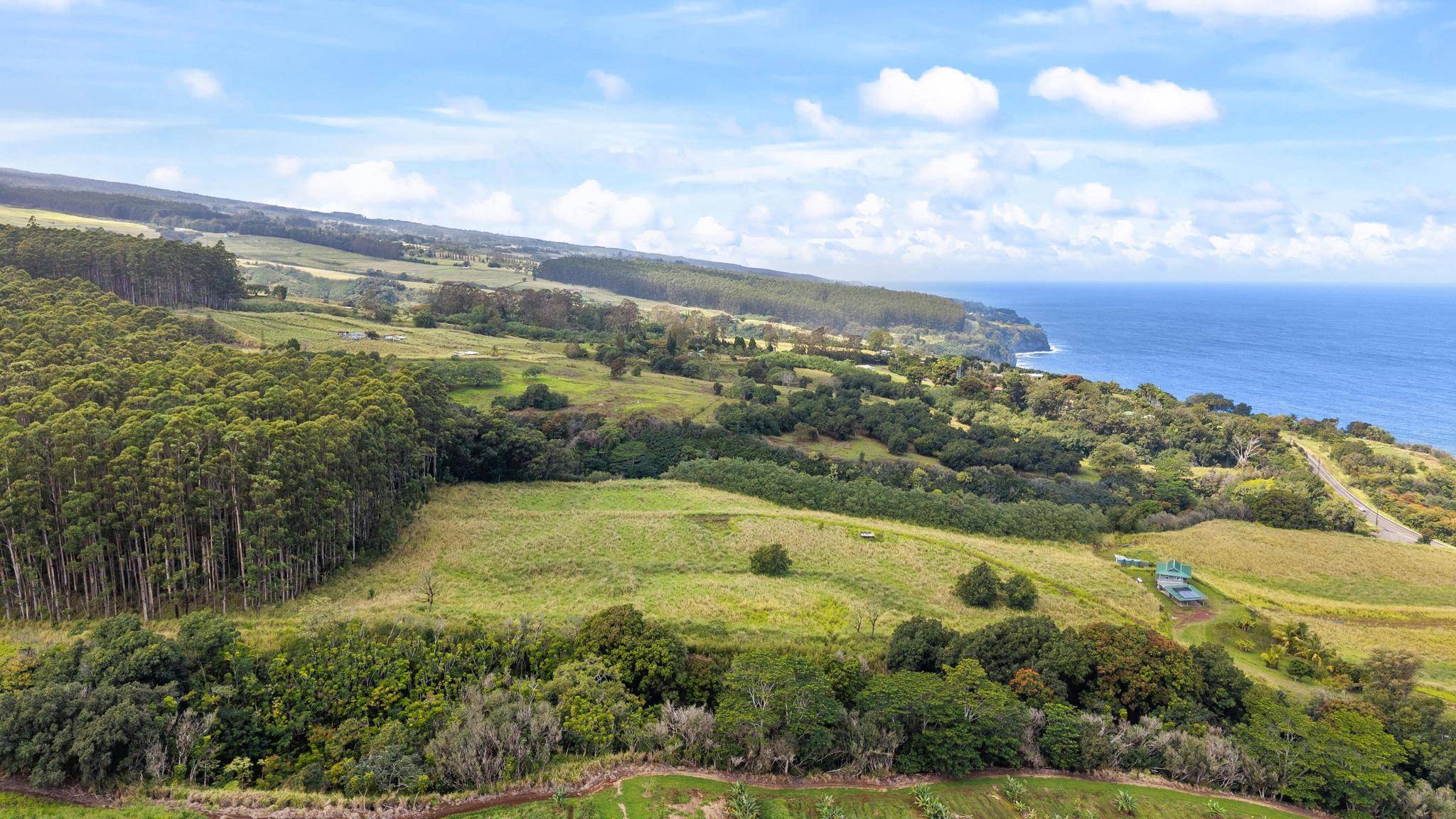 34-1219 HAWAII BELT RD, Papaaloa, HI 96780
