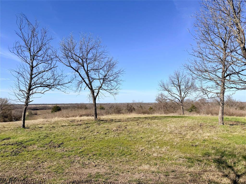 TBD 117 acres S Anthony Road, Ennis, TX 75119