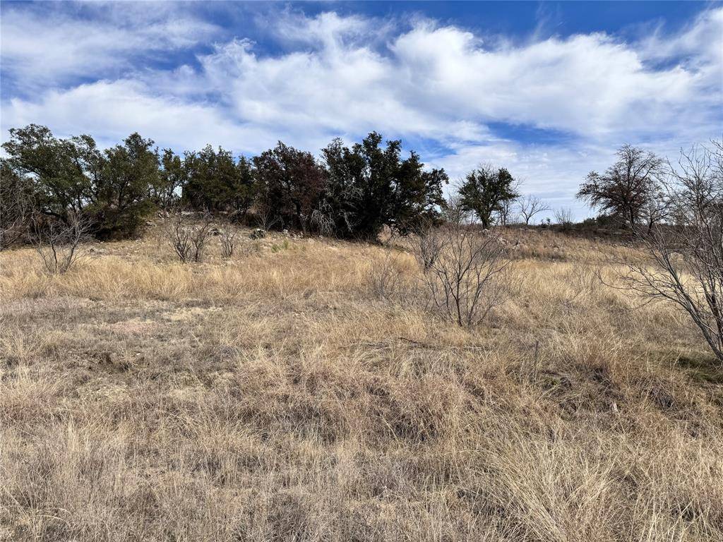 TBD Lot 196 Carie Drive, Brownwood, TX 76801