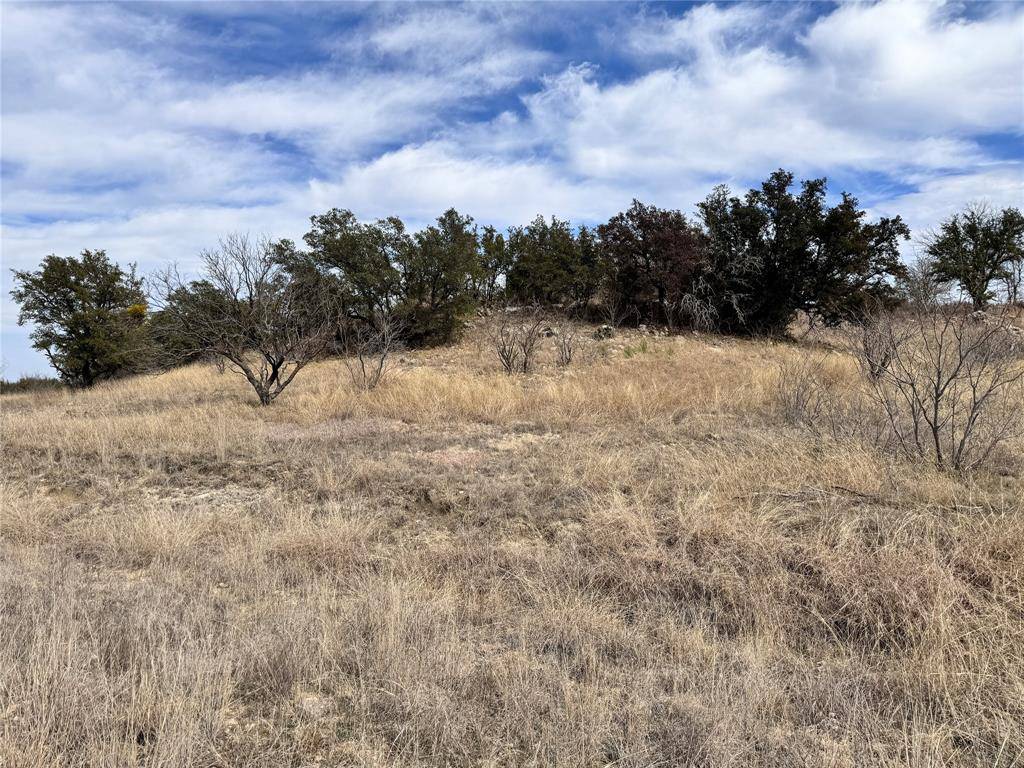 TBD Lot 196 Carie Drive, Brownwood, TX 76801