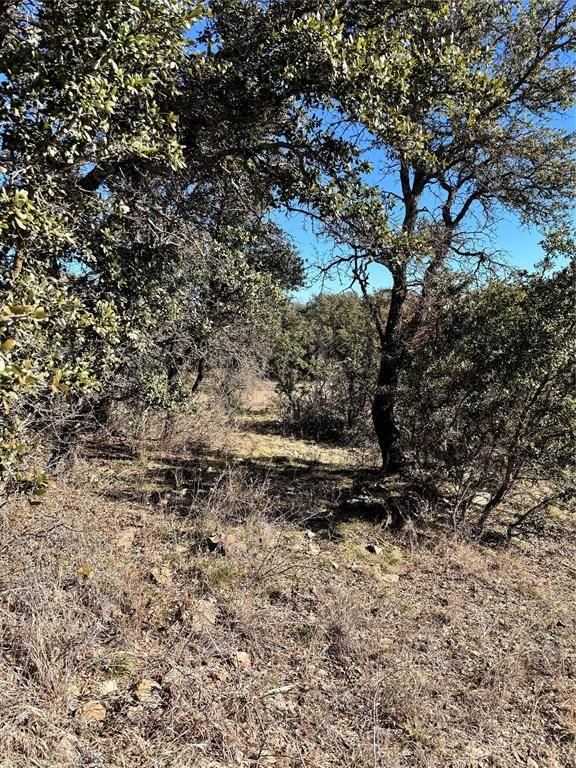 349 Oak Point Drive, May, TX 76857