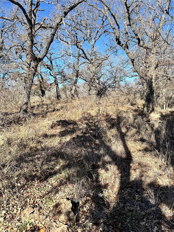 349 Oak Point Drive, May, TX 76857