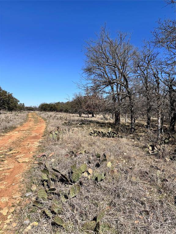 136 Red Oak Drive, May, TX 76857