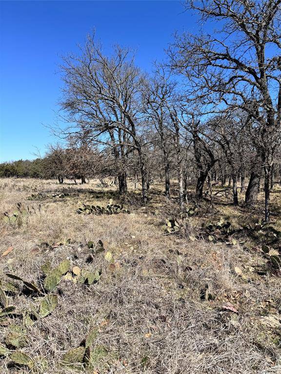 136 Red Oak Drive, May, TX 76857