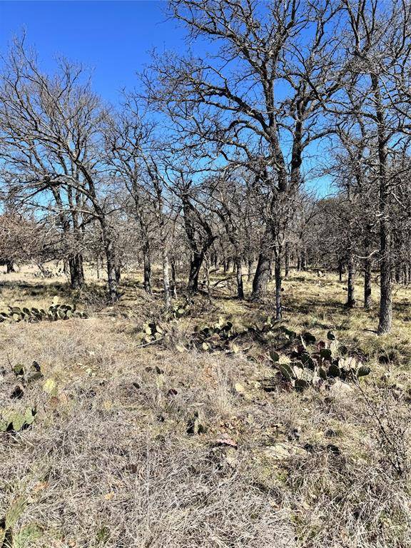 136 Red Oak Drive, May, TX 76857